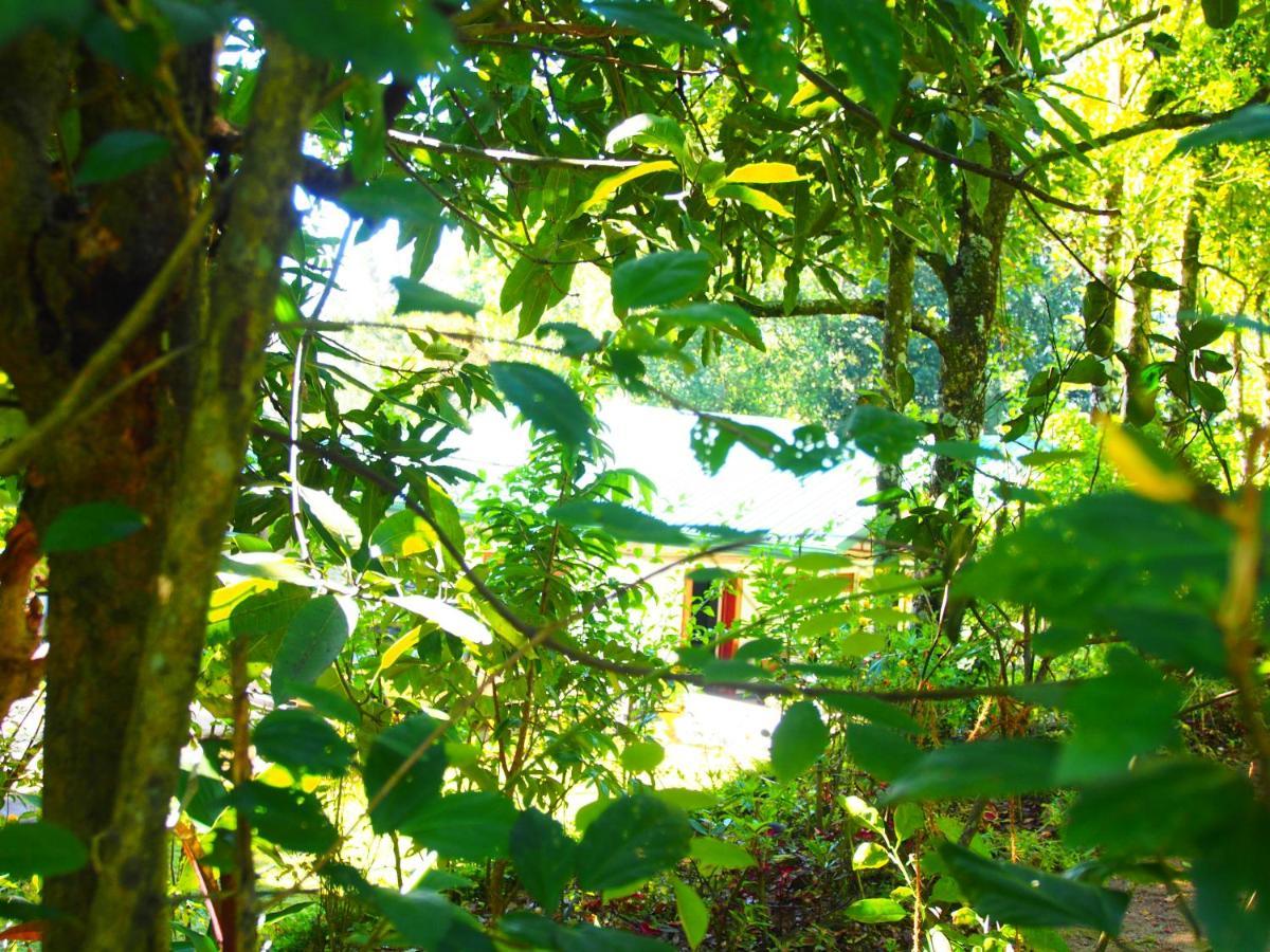 Tearamb Holiday Bungalow Otalawa Dış mekan fotoğraf