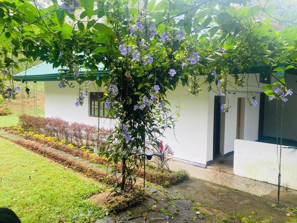 Tearamb Holiday Bungalow Otalawa Dış mekan fotoğraf